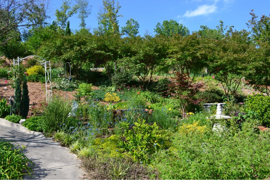 Doris Simmon's Garden