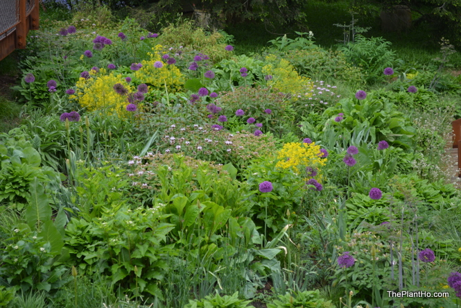 Chanticleer garden