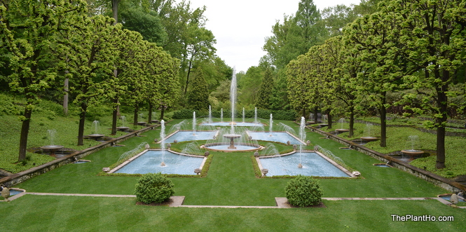Longwood Gardens, Fountain