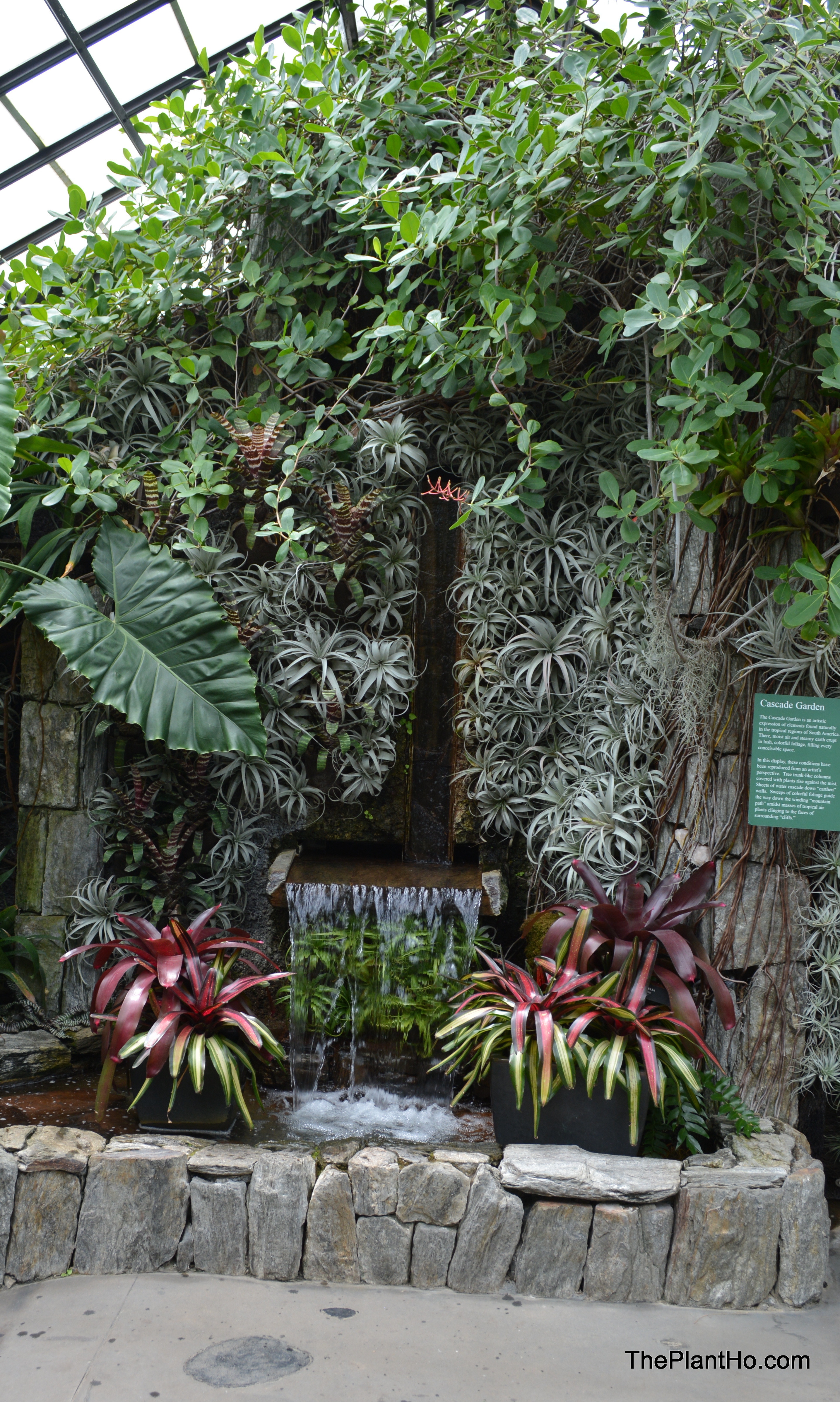 Longwood Gardens, Conservatory