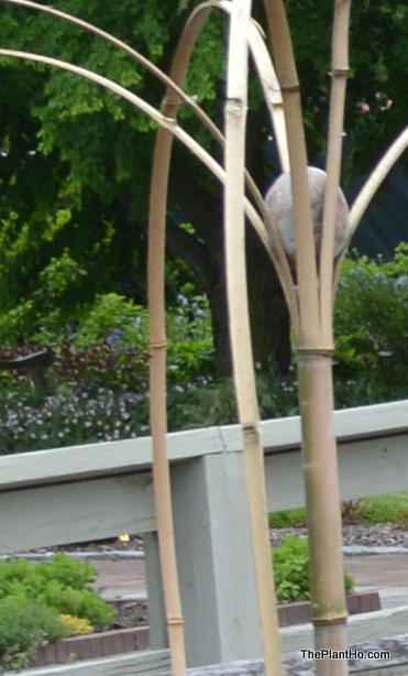 Longwood Gardens, Vegetable garden