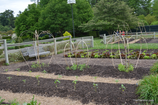 Longwood Gardens, Vegetable garden