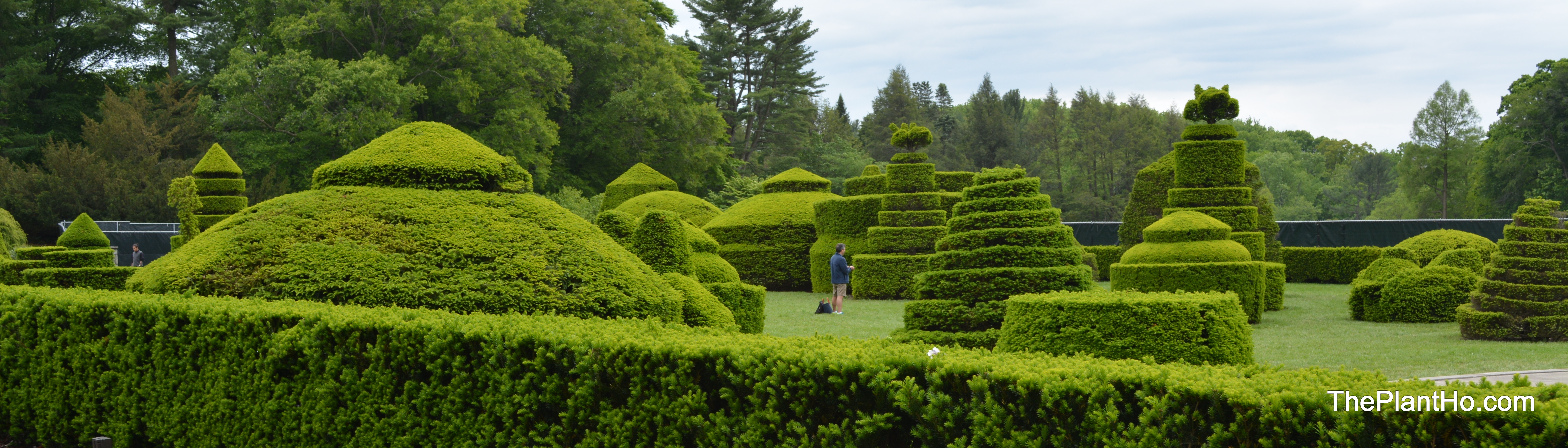 Longwood Gardens, Topiaries