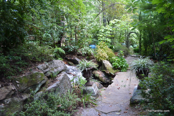 Jim Scott garden, Lake Martin