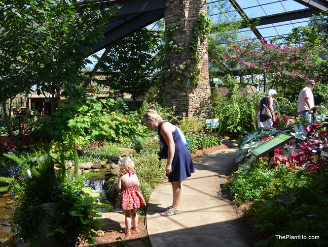 Huntsville Botanical Gardens butterfly house