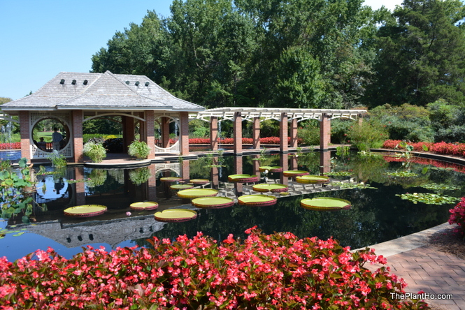 Huntsville Botanical Garden Hidden Hills Garden