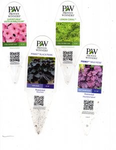 PW Plants