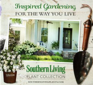 Southern Living Plant Collection